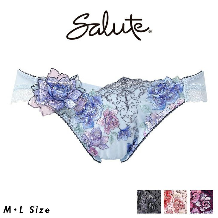 サルート Salute 20グループ 20G ワコール Wacoal ノーマルショーツ LL